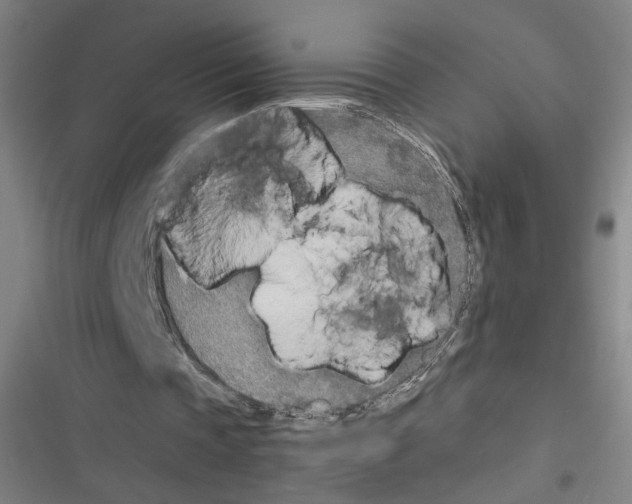 X0000116460337201001201305