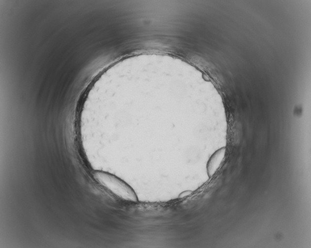 X0000116460338201001201305