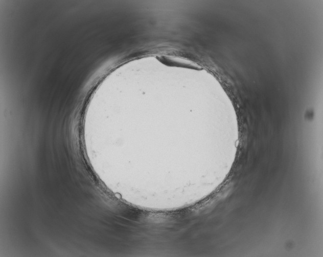 X0000116460341201001201305