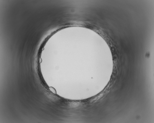 X0000116460342201001201305