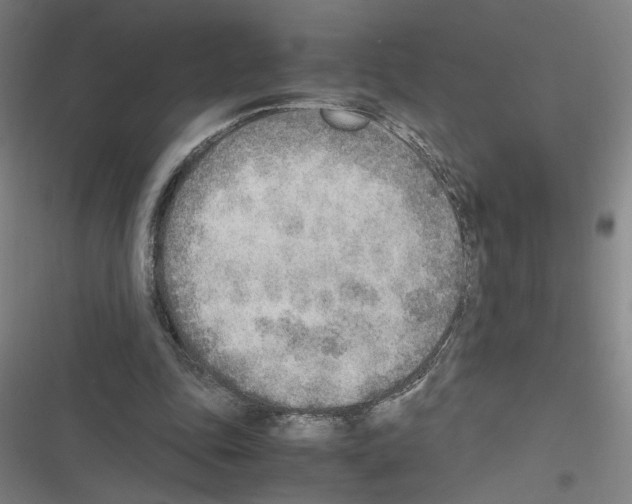 X0000116460343201001201305