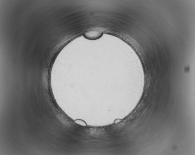 X0000116460345201001201305