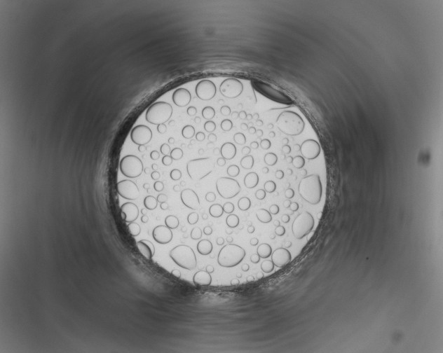 X0000116460346201001201305