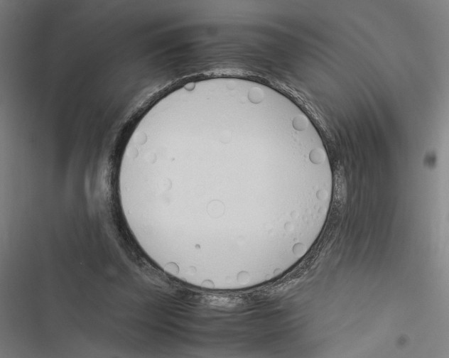X0000116460347201001201305