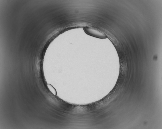 X0000116460350201001201305