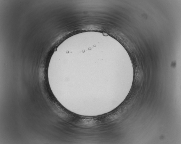 X0000116460351201001201305