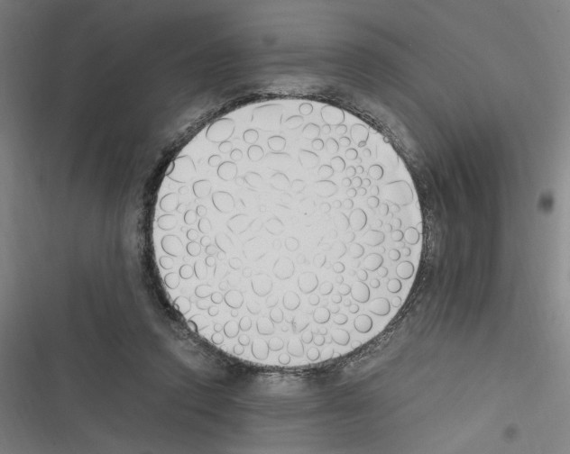 X0000116460354201001201305