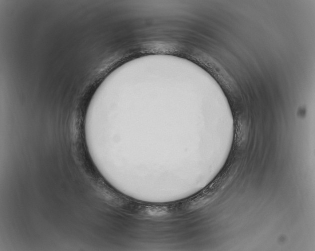 X0000116460355201001201305