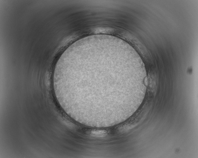 X0000116460357201001201305