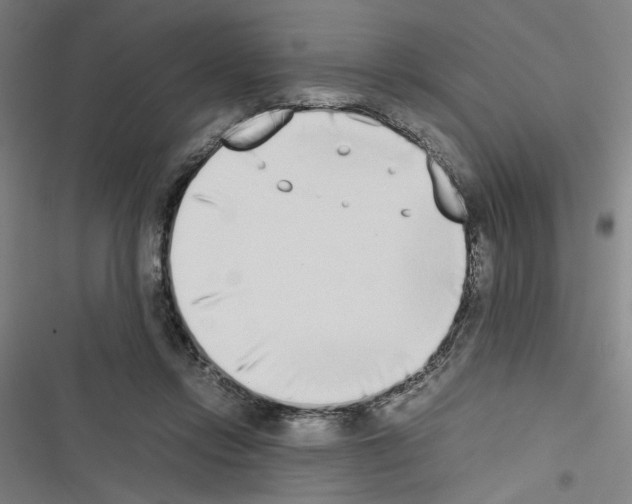 X0000116460358201001201305