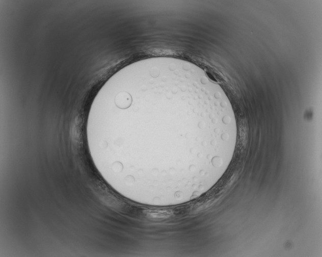 X0000116460359201001201305