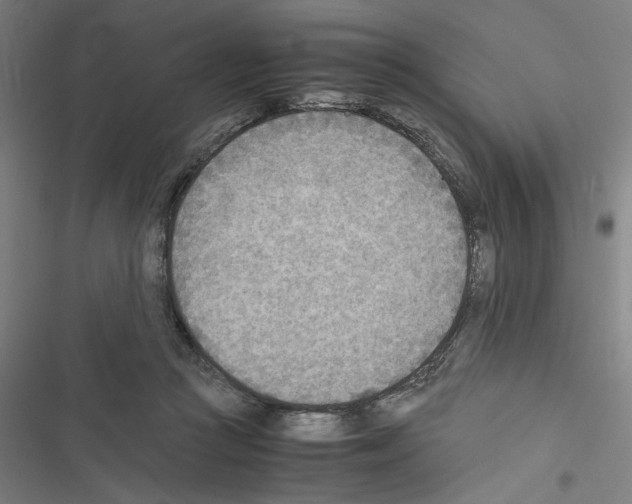 X0000116460361201001201305