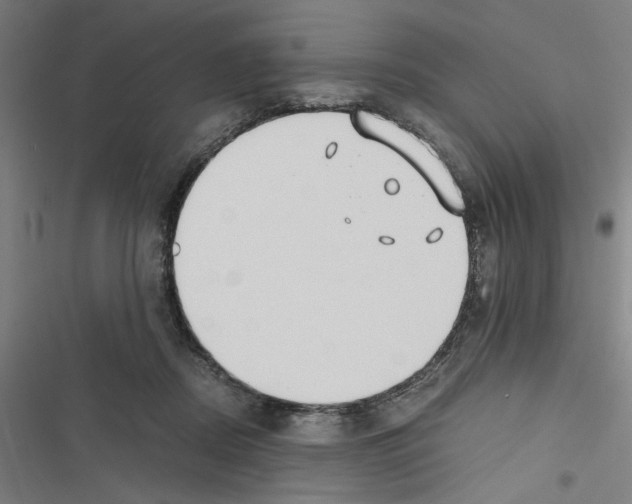 X0000116460362201001201305