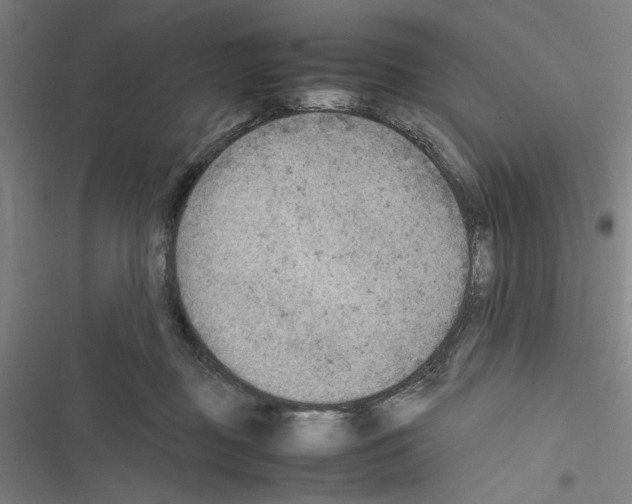 X0000116460363201001201305