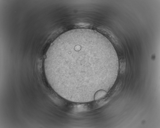 X0000116460365201001201305
