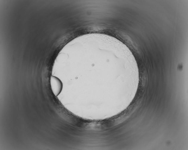 X0000116460366201001201305