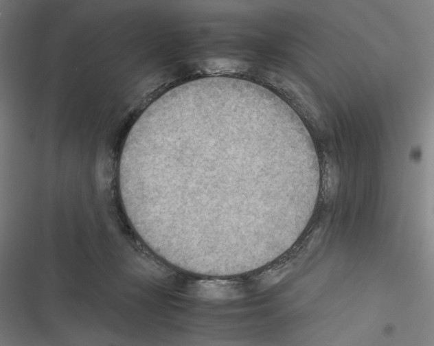 X0000116460367201001201305