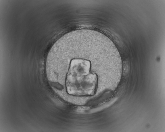 X0000116460369201001201305