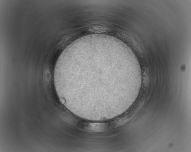 X0000116460371201001201305
