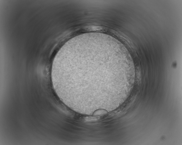 X0000116460373201001201305
