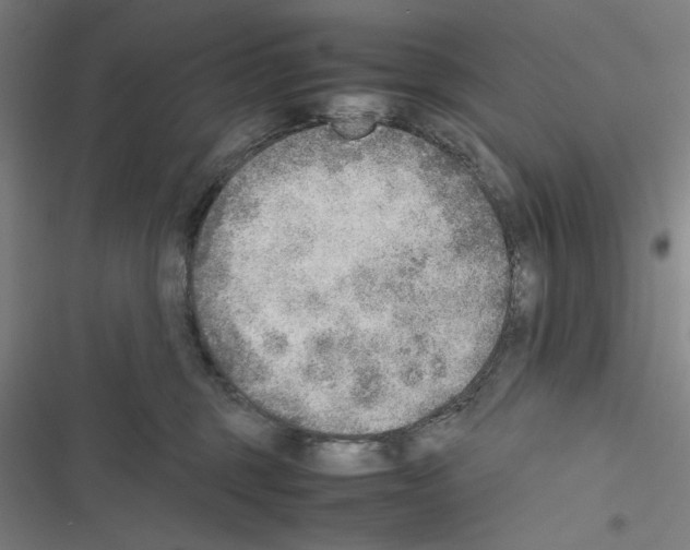 X0000116460375201001201305