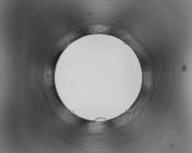 X0000116460378201001201305