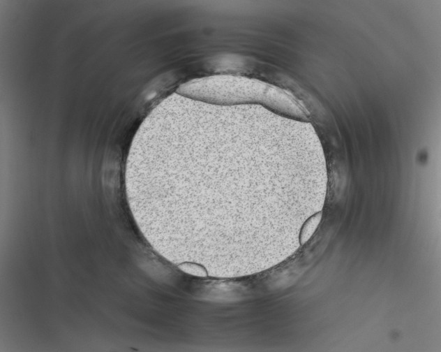 X0000116460379201001201305