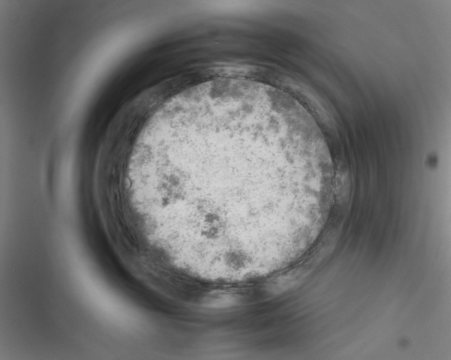 X0000116460381201001201305