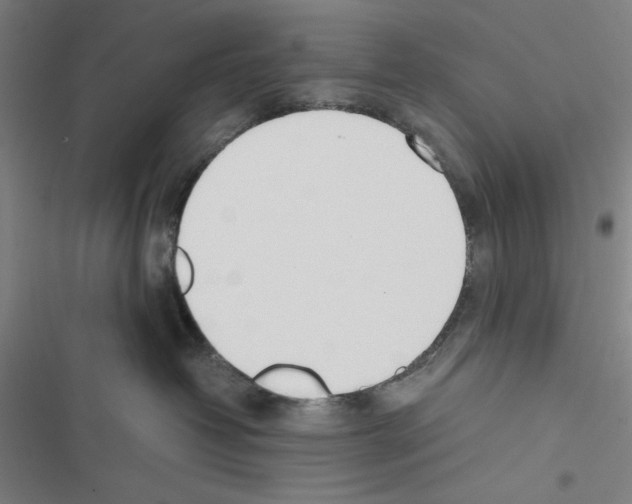 X0000116460382201001201305