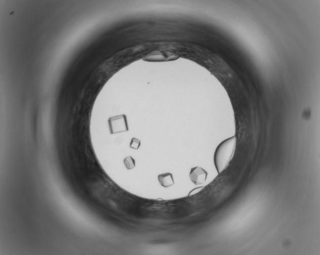 X0000116460383201001201305