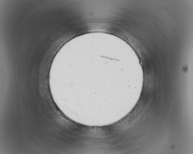 X0000116460385201001201305