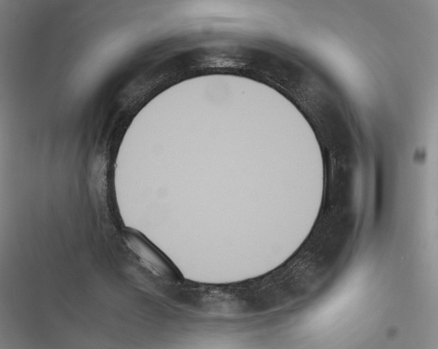 X0000116460387201001201305