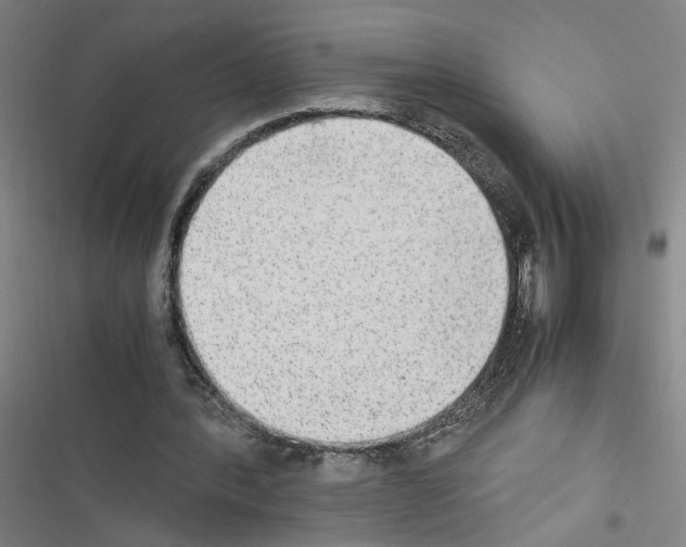 X0000116460388201001201305
