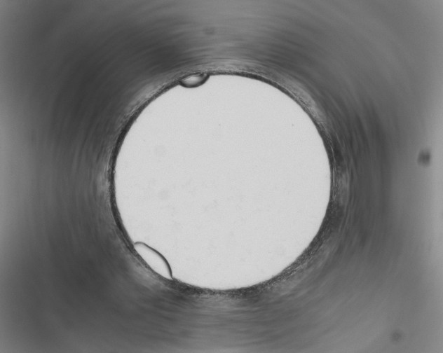 X0000116460389201001201305