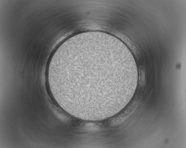 X0000116460390201001201304