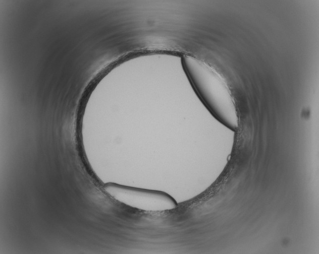 X0000116460391201001201304