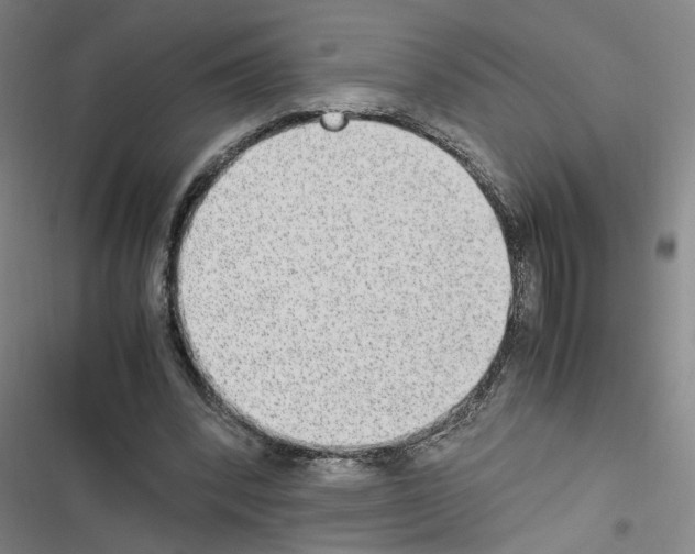 X0000116460392201001201304