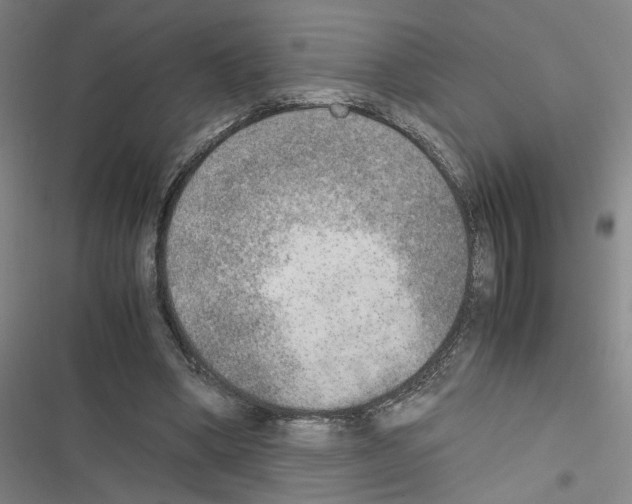 X0000116460394201001201304