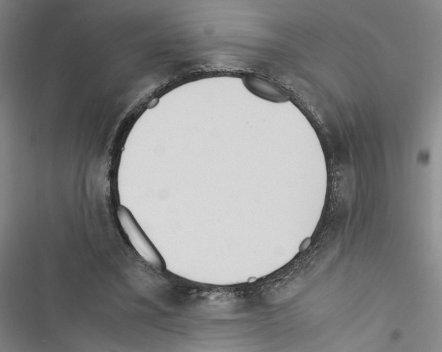 X0000116460395201001201304