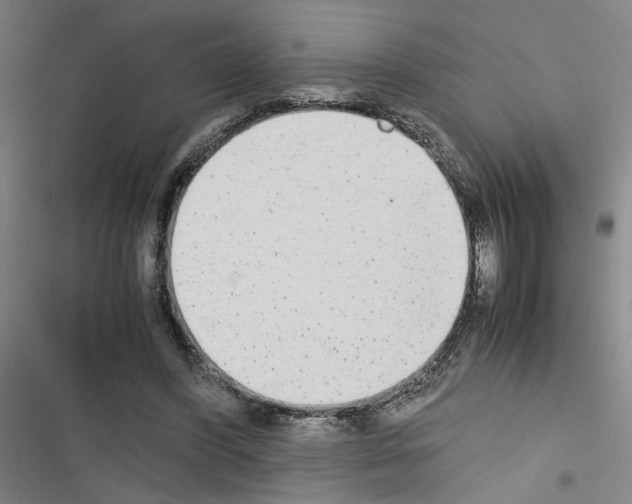 X0000116460396201001201304