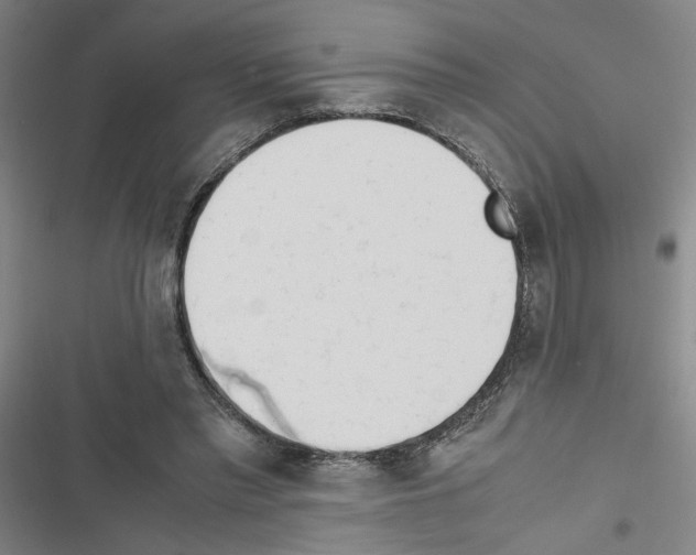 X0000116460397201001201304