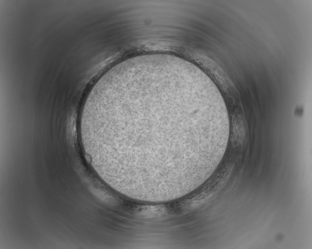 X0000116460398201001201304
