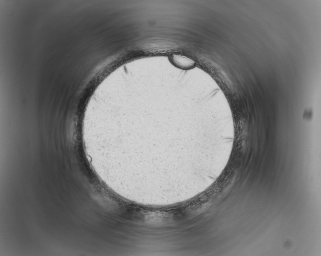 X0000116460400201001201304