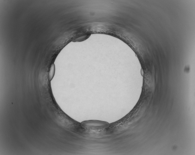 X0000116460401201001201304