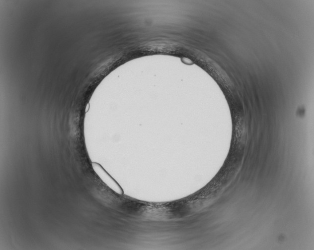 X0000116460403201001201304