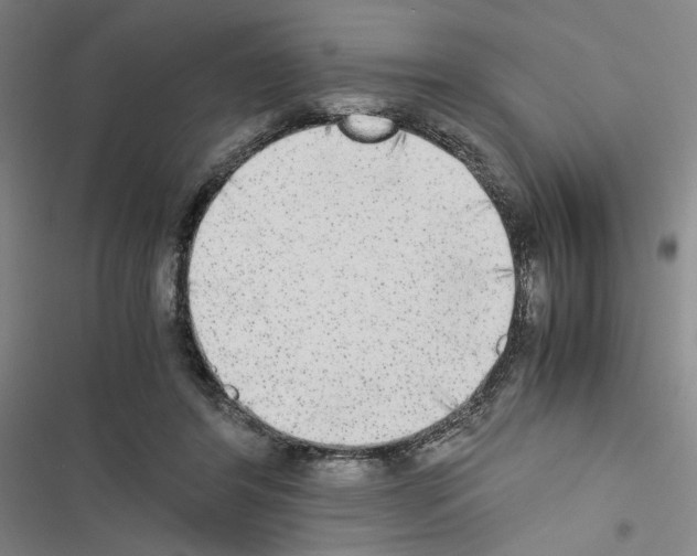 X0000116460404201001201304