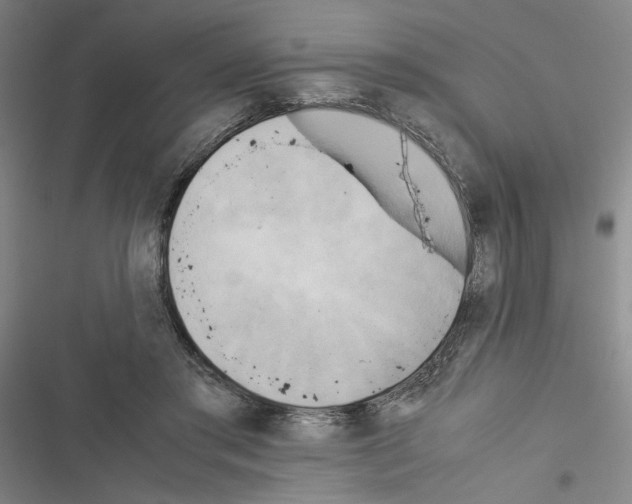 X0000116460405201001201304