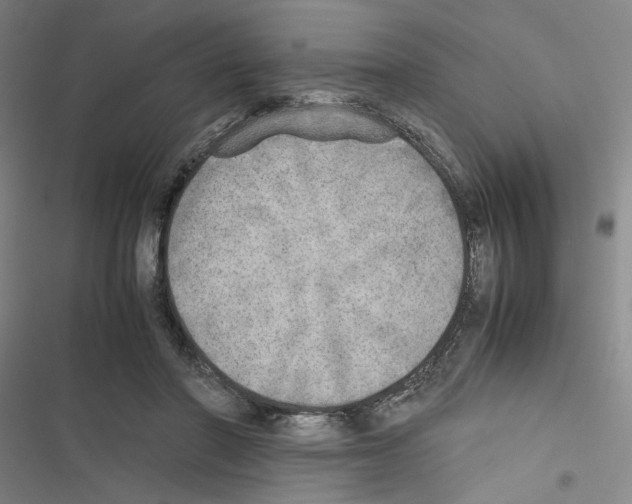 X0000116460406201001201304