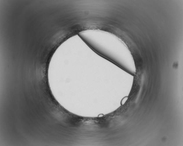 X0000116460407201001201304