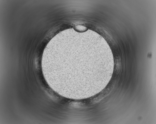 X0000116460408201001201304